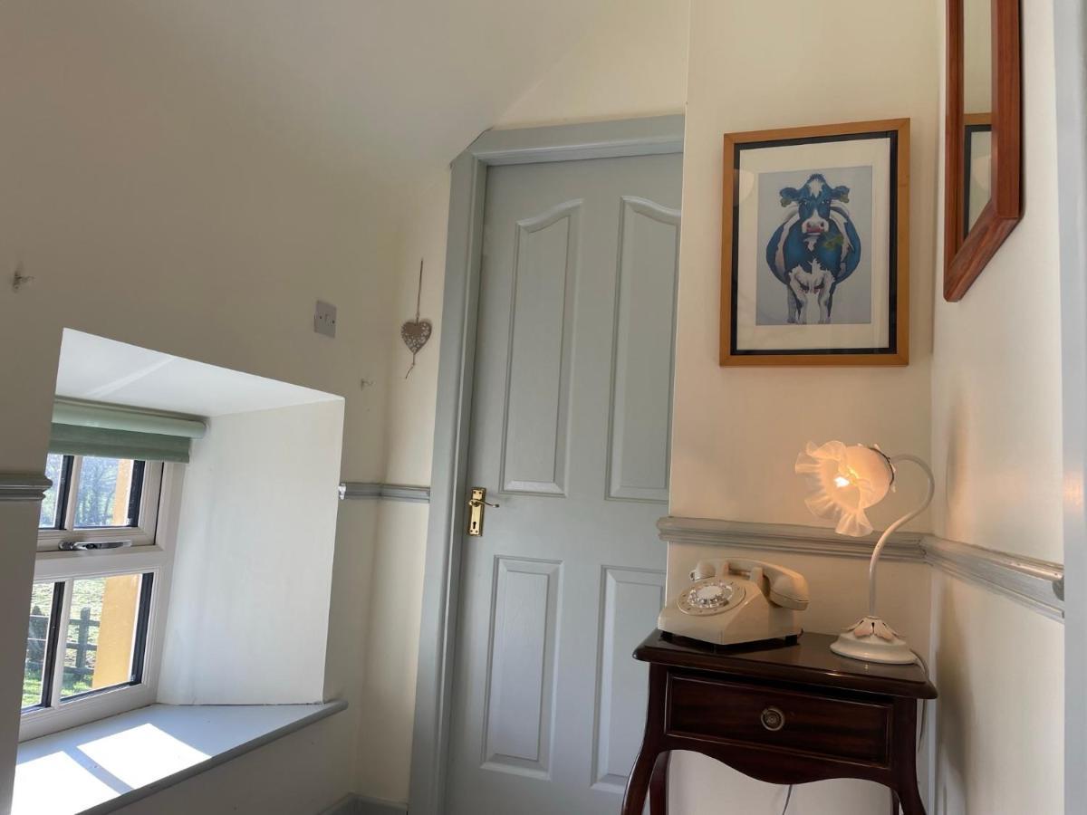Mai'S Cottage Suite - Charming Holiday Rental Kilmallock Exteriér fotografie